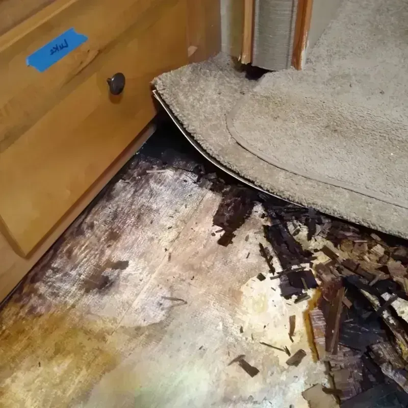 Wood Floor Water Damage in Smoke Rise, AL